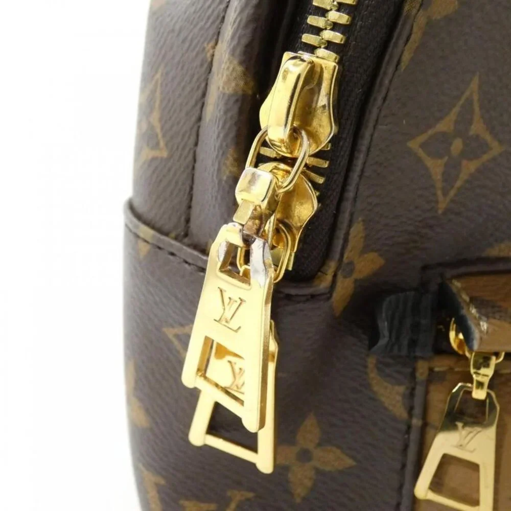 Louis Vuitton Monogram Reverse Palm Spring Backpack PM Marron - Picture 4 of 8